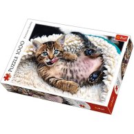 Пазл - (1000 Элм.) - "Веселый котенок" / Trefl