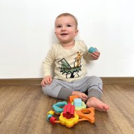 Развивающая игрушка Chicco Баобаб первый сортер серии ECO+ 10493.00