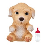 Новорожденный щенок Poodles