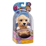 Новорожденный щенок Poodles