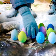 Игрушка #sbabam растущая в яйце «Dino Eggs Winter» - ЗИМНИЕ ДИНОЗАВРЫ (T059-2019)