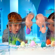 Игрушка #sbabam растущая в яйце «Dino Eggs Winter» - ЗИМНИЕ ДИНОЗАВРЫ (T059-2019)
