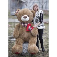 Медведь Тоша