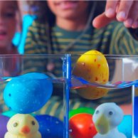 Іграшка-сюрприз, що зростає в яйці #sbabam Пташки Eggy Animals 91/CN22