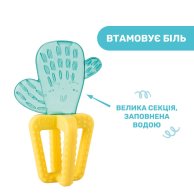 Прорезыватель для зубов Chicco Кактус 28140.30