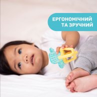 Прорезыватель для зубов Chicco Кактус 28140.30