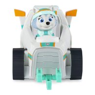 Набор Spin Master Paw Patrol Щенячий патруль Эверест SM16775/5118