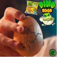 Игрушка растущей в яйце «Dino Eggs» - ДИНОЗАВРЫ