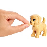 Набор Barbie "Детский садик щенков"
