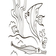 Водная раскраска. Море (укр) (Л734010У)