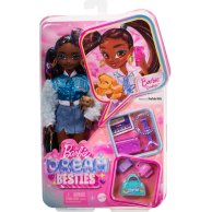 Кукла Mattel Barbie Бруклин Dream Besties Барби HYC22