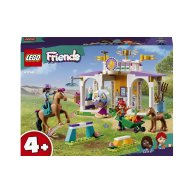 Конструктор Lego Friends Тренировка лошади, 134 деталей 41746