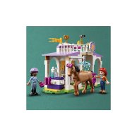 Конструктор Lego Friends Тренировка лошади, 134 деталей 41746