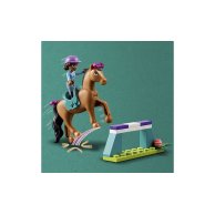 Конструктор Lego Friends Тренировка лошади, 134 деталей 41746
