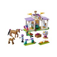 Конструктор Lego Friends Тренировка лошади, 134 деталей 41746