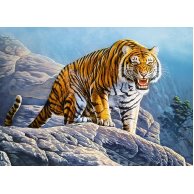 Пазлы Castorland 180 элементов Тигр на скале (B-018451)