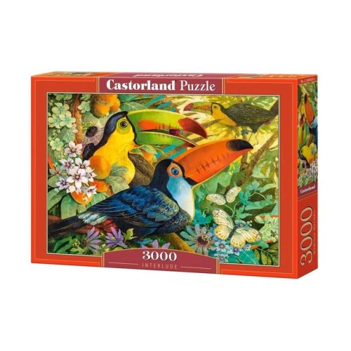 Пазлы Castorland Интерлюдия. Туканы, 3000 деталей C-300433