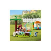 Конструктор Lego Friends Дом Пейсли, 185 деталей 41724