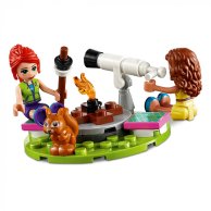 Конструктор Lego Friends  Кемпинг на природе (41392)