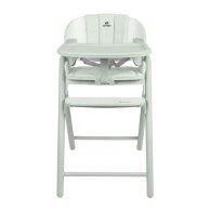 Стульчик для кормления Carrello Tenero CRL-9507 Elysium Green
