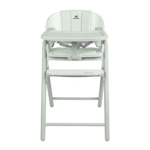 Стульчик для кормления Carrello Tenero CRL-9507 Elysium Green