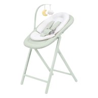 Стульчик для кормления Carrello Tenero CRL-9507 Elysium Green