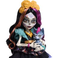 Кукла Monster High Монстро-классика Скелита JHK34