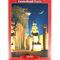 Пазлы Castorland 1000 эл. Ночной город C-101719
