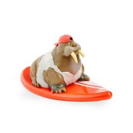 Фингерборд с фигуркой SHREDDIN "SHARKS - RIPTIDE RUS