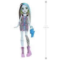 Кукла Mattel Monster High Моя монстро-подружка, в асс. HRC12
