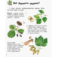 Энциклопедия дошкольника. Лес (укр) (С614016У)