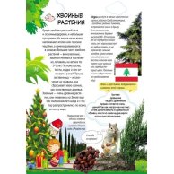 Большая энциклопедия младшего школьника: Все обо всем (рус)