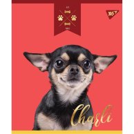 Тетрадь А5 12 Кл. YES Elegant Dog (764208)