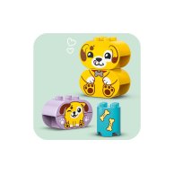 Конструктор Lego Duplo My First Сортировщик фигур: домик для щенков, 17 деталей 10441