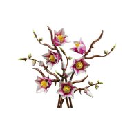 Конструктор Lego Botanicals Ветви магнолии, 435 деталей 11510