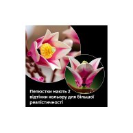 Конструктор Lego Botanicals Ветви магнолии, 435 деталей 11510
