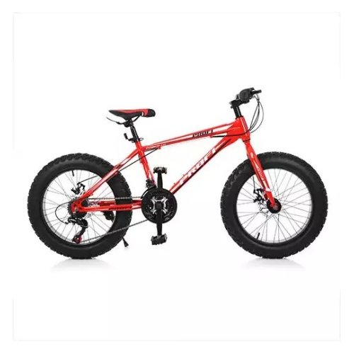 Велосипед 20 д. EB20POWER 1.0 (S20.4)
