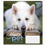 Тетрадь А5 12 Кл. 1Вересня Dog Loyality (765412)