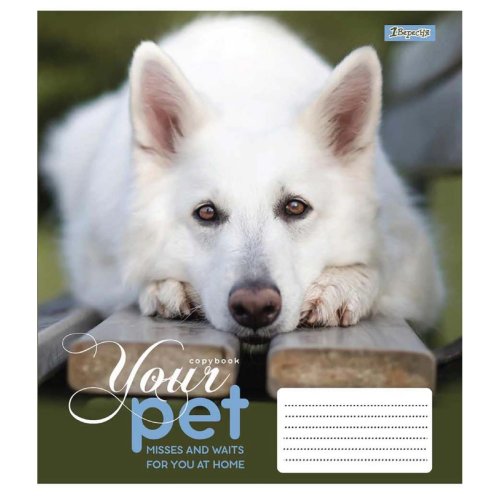 Тетрадь А5 12 Кл. 1Вересня Dog Loyality (765412)