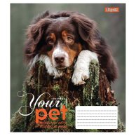 Тетрадь А5 12 Кл. 1Вересня Dog Loyality (765412)