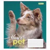Тетрадь А5 12 Кл. 1Вересня Dog Loyality (765412)