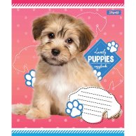 Тетрадь А5 12 Кос. 1Вересня Lovely Puppies (765415)