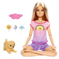 Кукла Mattel Barbie Медитация днем и ночью HHX64