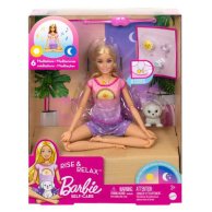 Кукла Mattel Barbie Медитация днем и ночью HHX64
