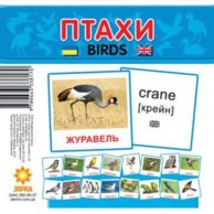 Карточки мини Птицы (укр) (72753)