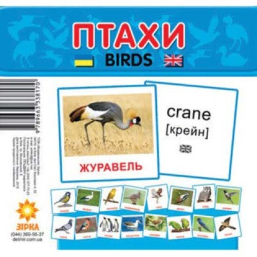 Карточки мини Птицы (укр) (72753)