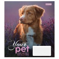 Тетрадь А5 12 Лин. 1В Dog Loyality (765418)