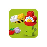 Конструктор Lego Duplo Town Творческий сад и цветы, 45 деталей 10444