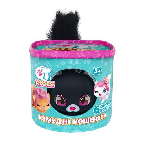 Игровой набор QT Kitties Котенок Эш с аксессуарами 450001-6