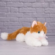 Котик Ирен